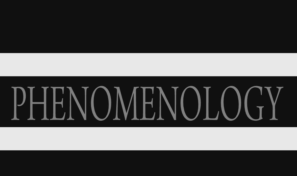 Phenomenology